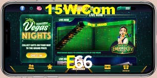 Bonus Features E66